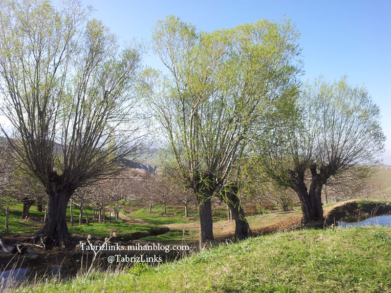 آذربایجان