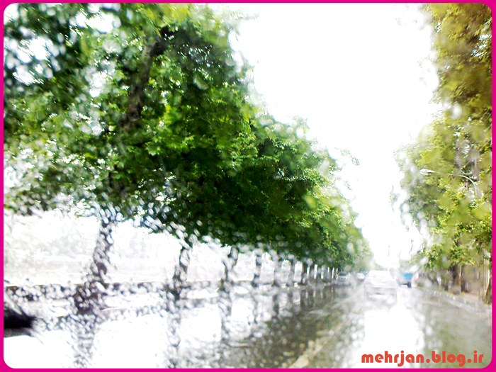 070352.jpg (700×525)