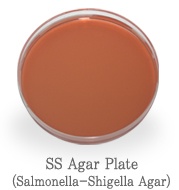 SS Agar