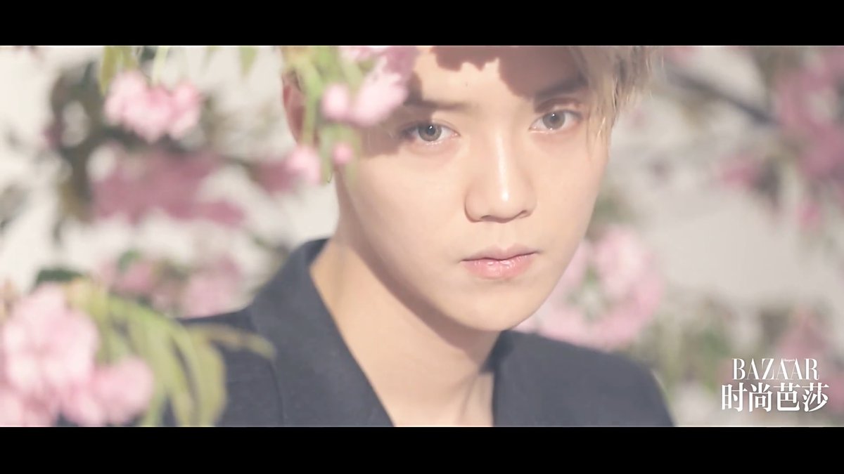 Baekhyun & Luhan Iranian Fan Club