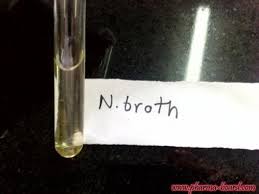 Nutrient broth