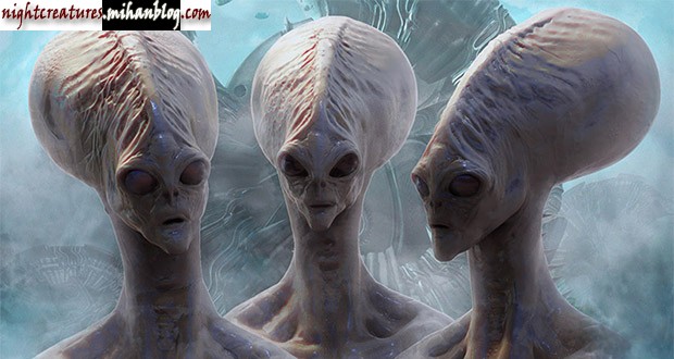 6.jpg (620×330)