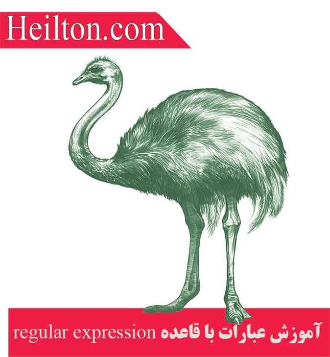 عبارات منظم