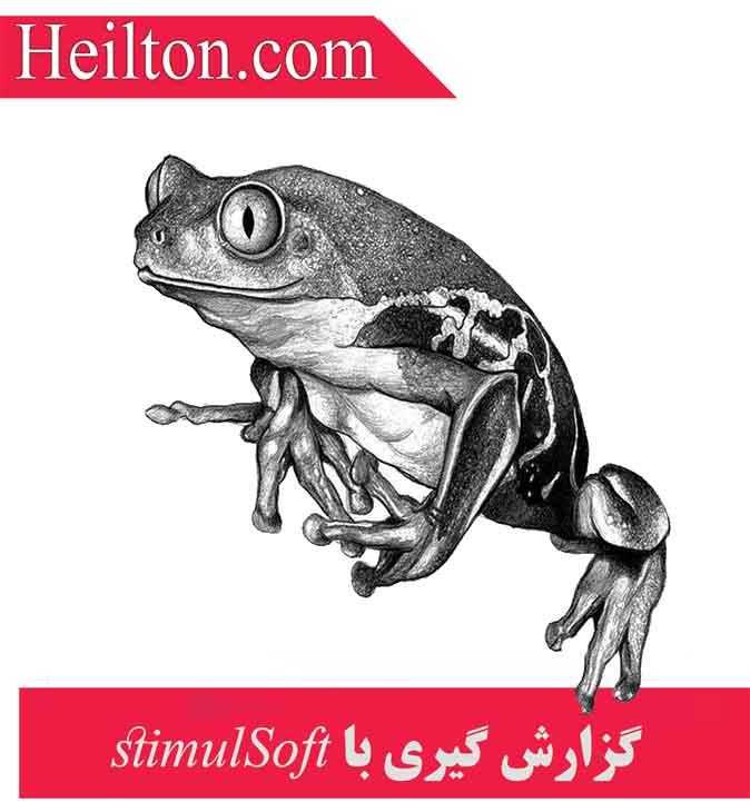 گزارش گیری با Stimulsoft