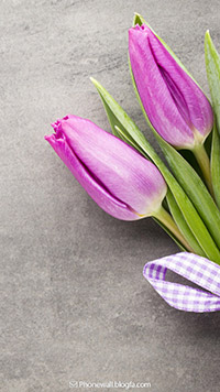 والپیپر گل برای موبایل