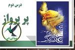 پر پرواز