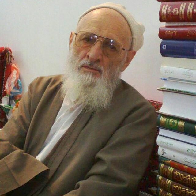 علامه حسن زاده