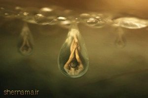 ما انسان ها آینه های همدیگر هستیم ، منبع :
http://kolbehyetanhayi.mihanblog.com/post/5524 ما انسان ها آینه های همدیگر هستیم