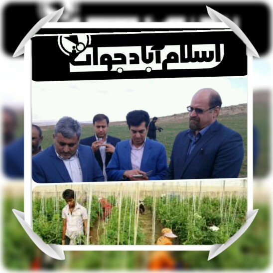 اا