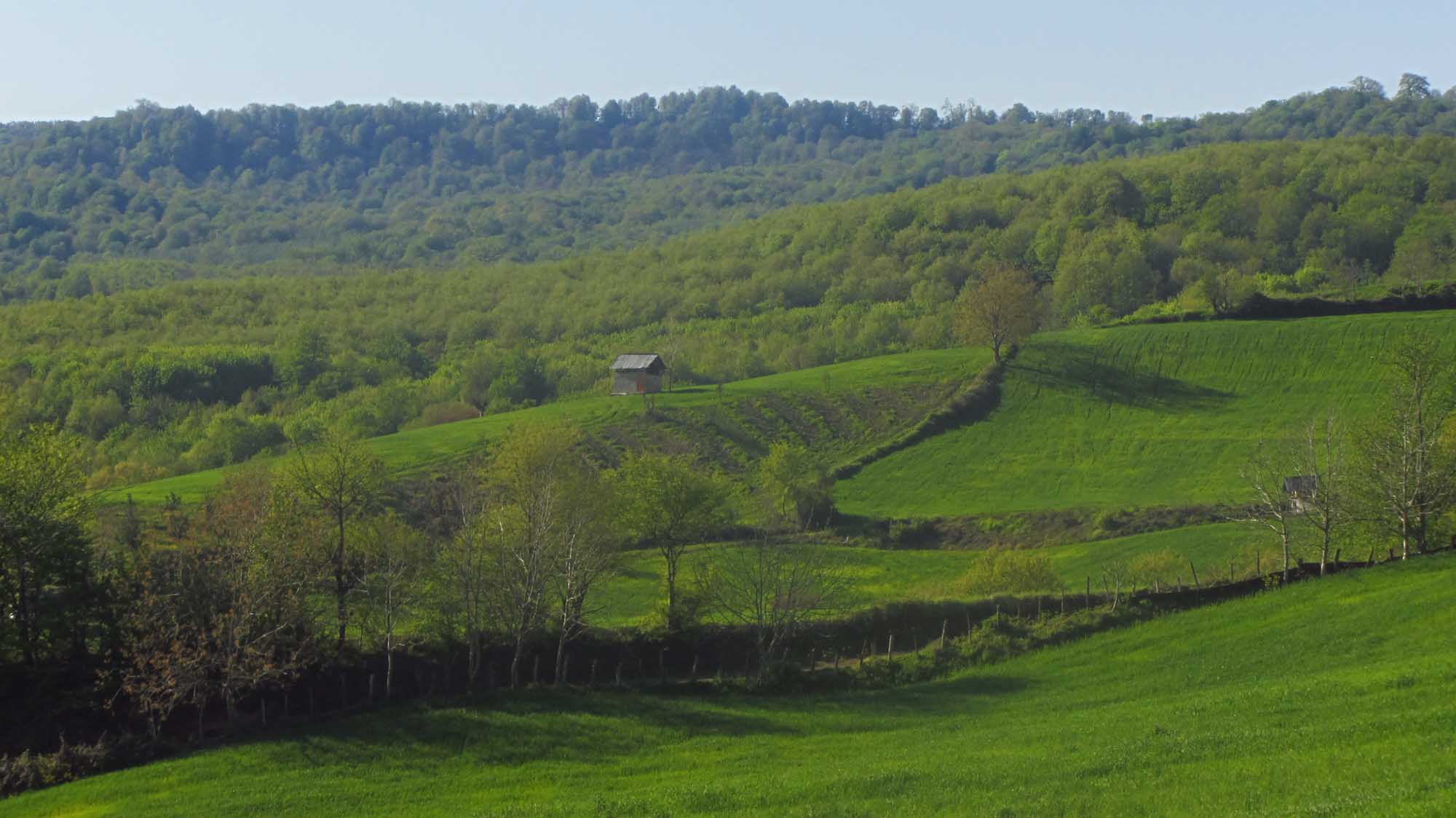 1_1_.jpg (2000×1124)