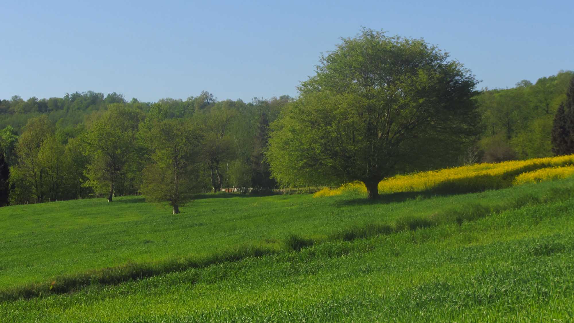 1_2_.jpg (2000×1124)