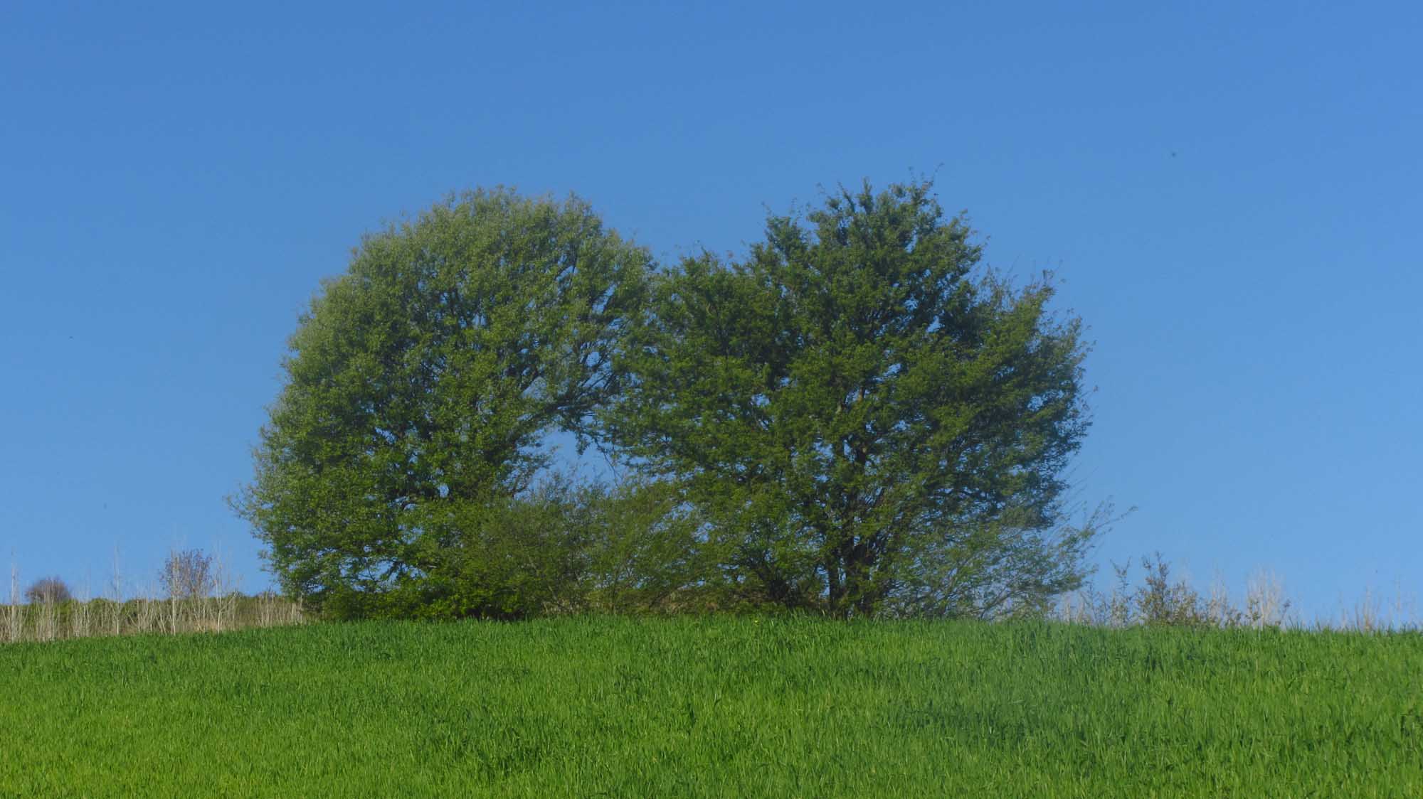 1_3_.jpg (2000×1124)