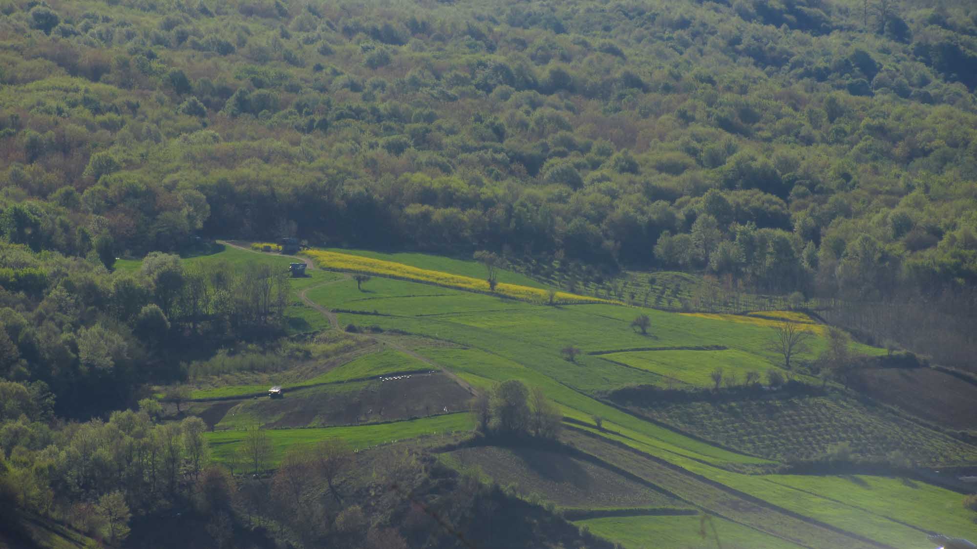 1_4_.jpg (2000×1124)