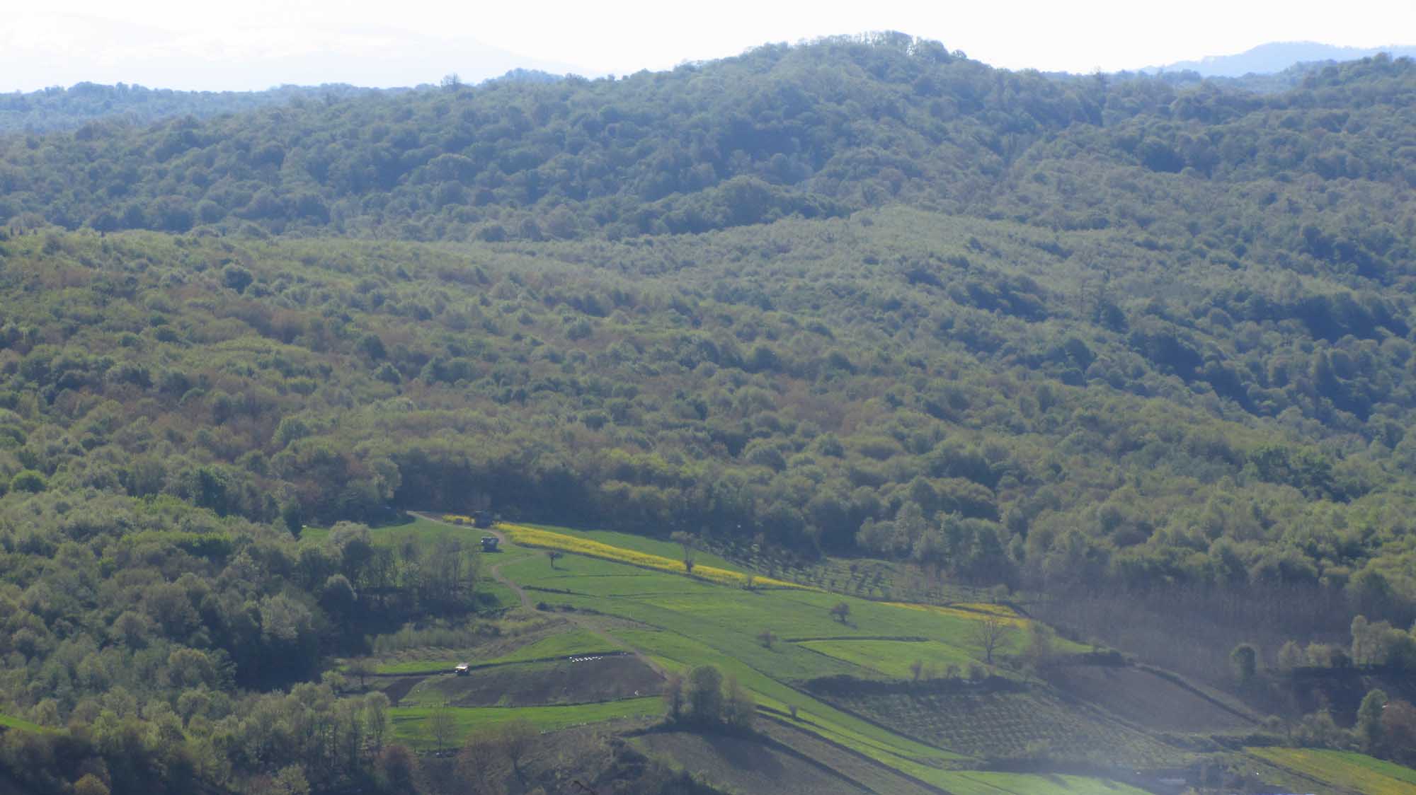 1_6_.jpg (2000×1124)