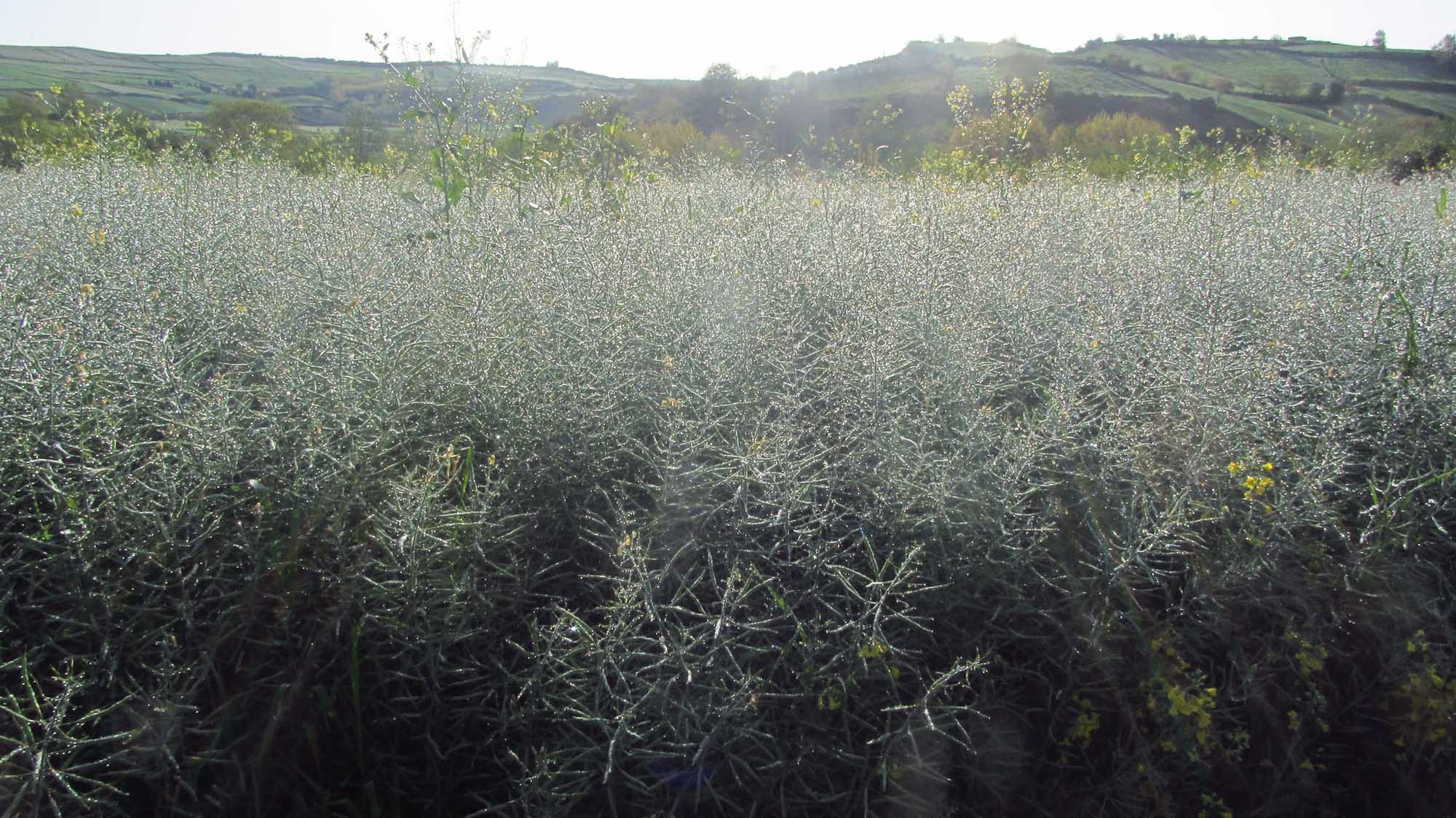 1_7_.jpg (2000×1124)