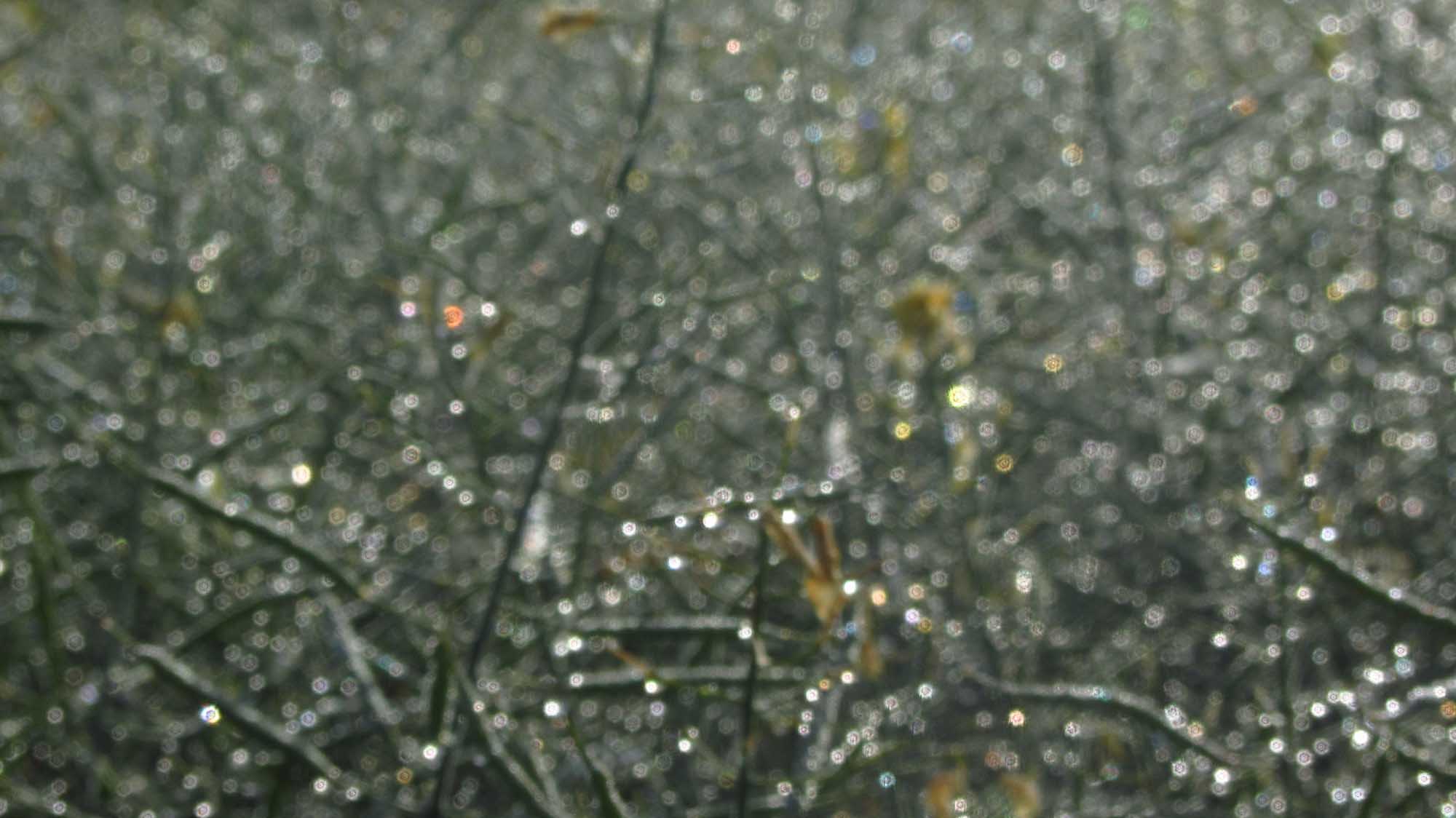 1_8_.jpg (2000×1124)