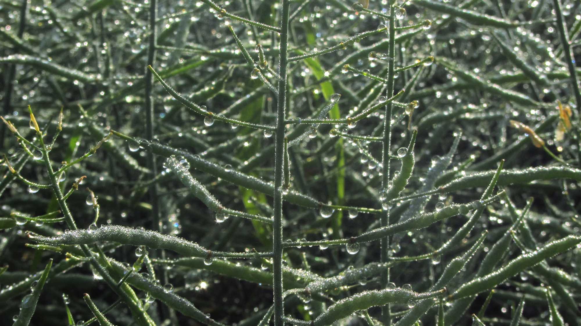 1_9_.jpg (2000×1124)