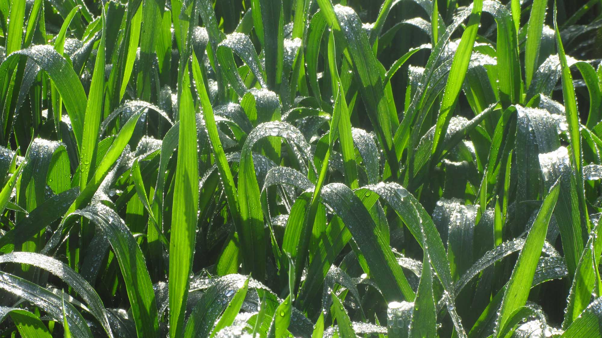 1_12_.jpg (2000×1124)