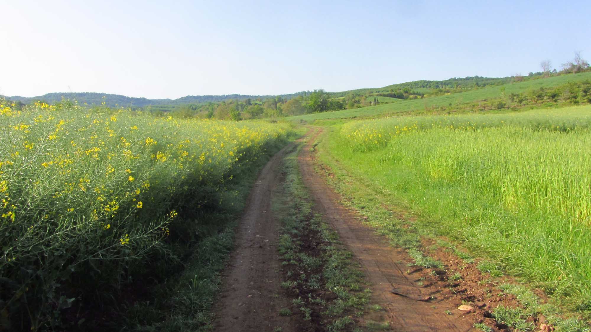 1_14_.jpg (2000×1124)