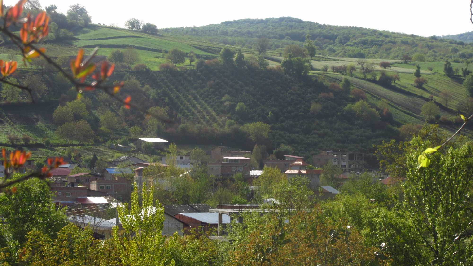 1_15_.jpg (2000×1124)