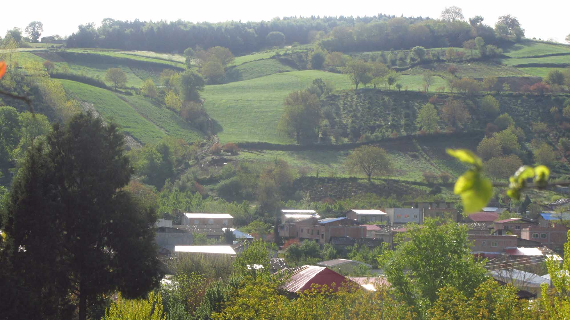 1_16_.jpg (2000×1124)