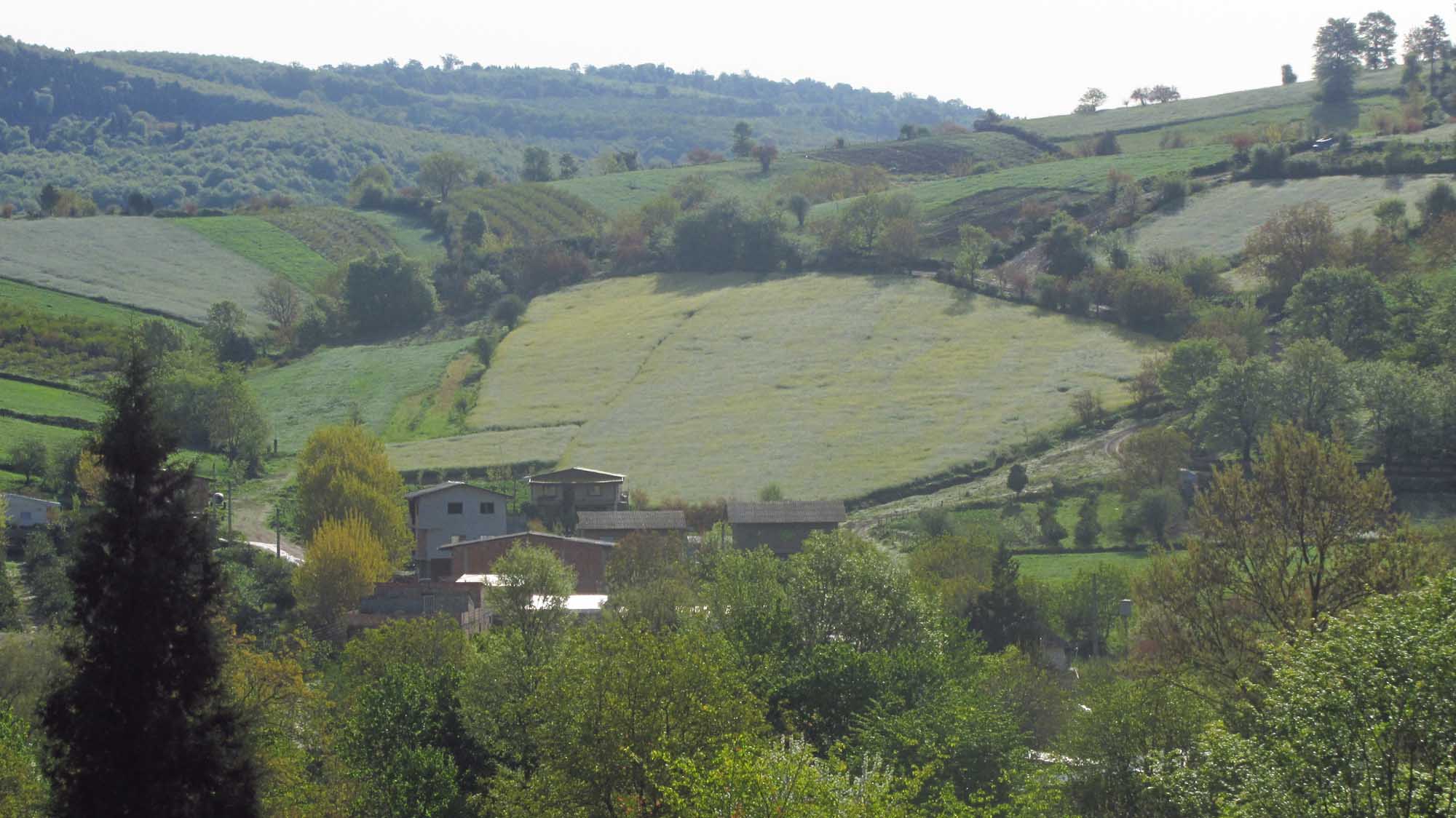 1_17_.jpg (2000×1124)