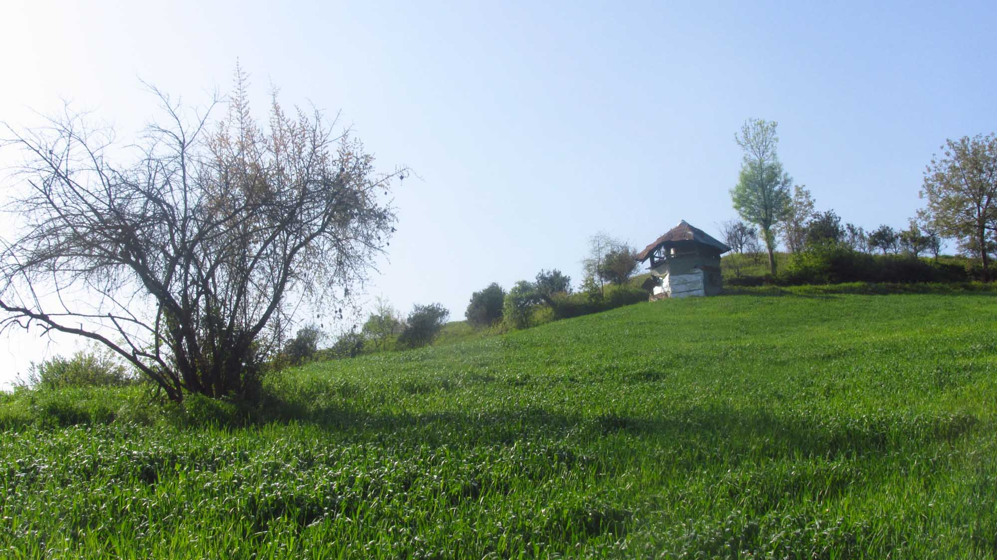 1_21_.jpg (2000×1124)