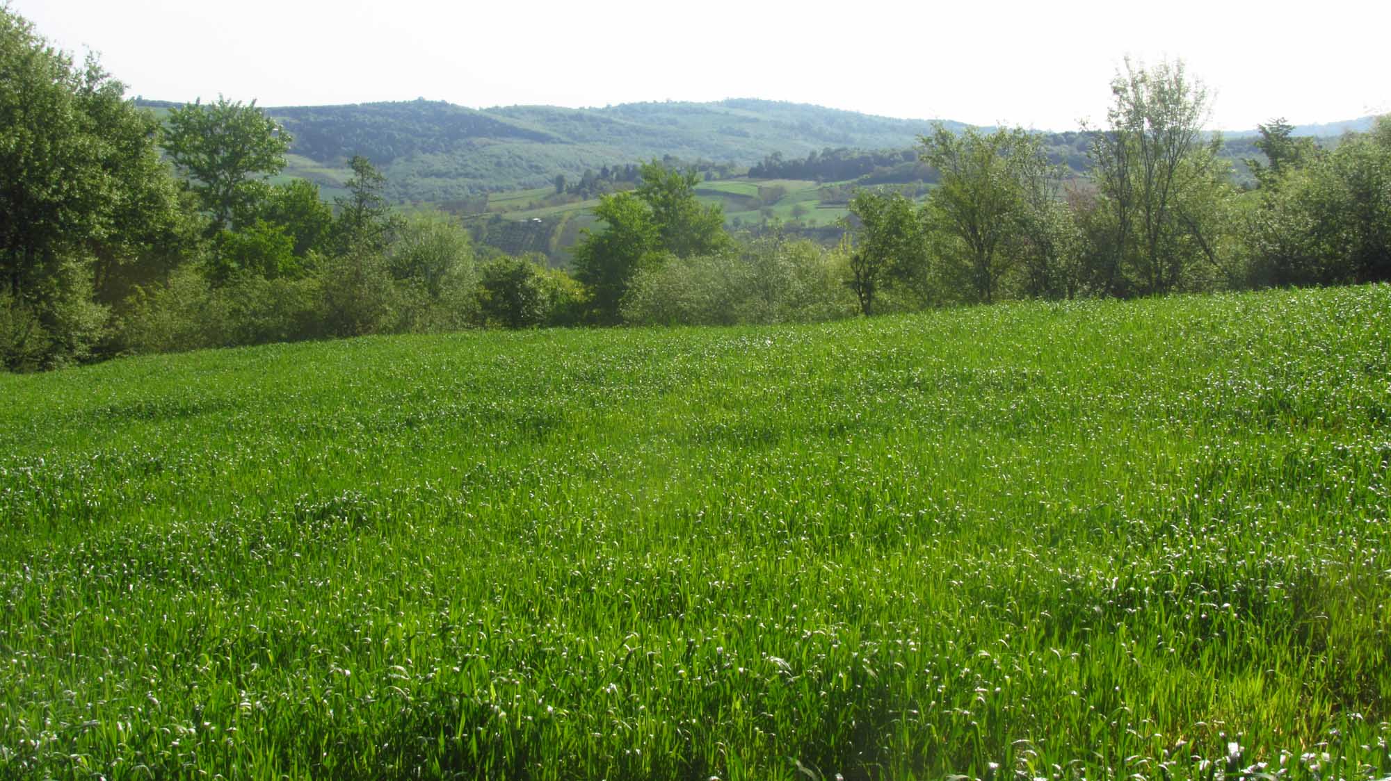 1_29_.jpg (2000×1124)