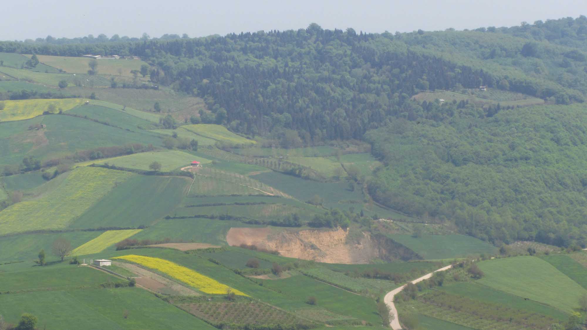 1_31_.jpg (2000×1124)