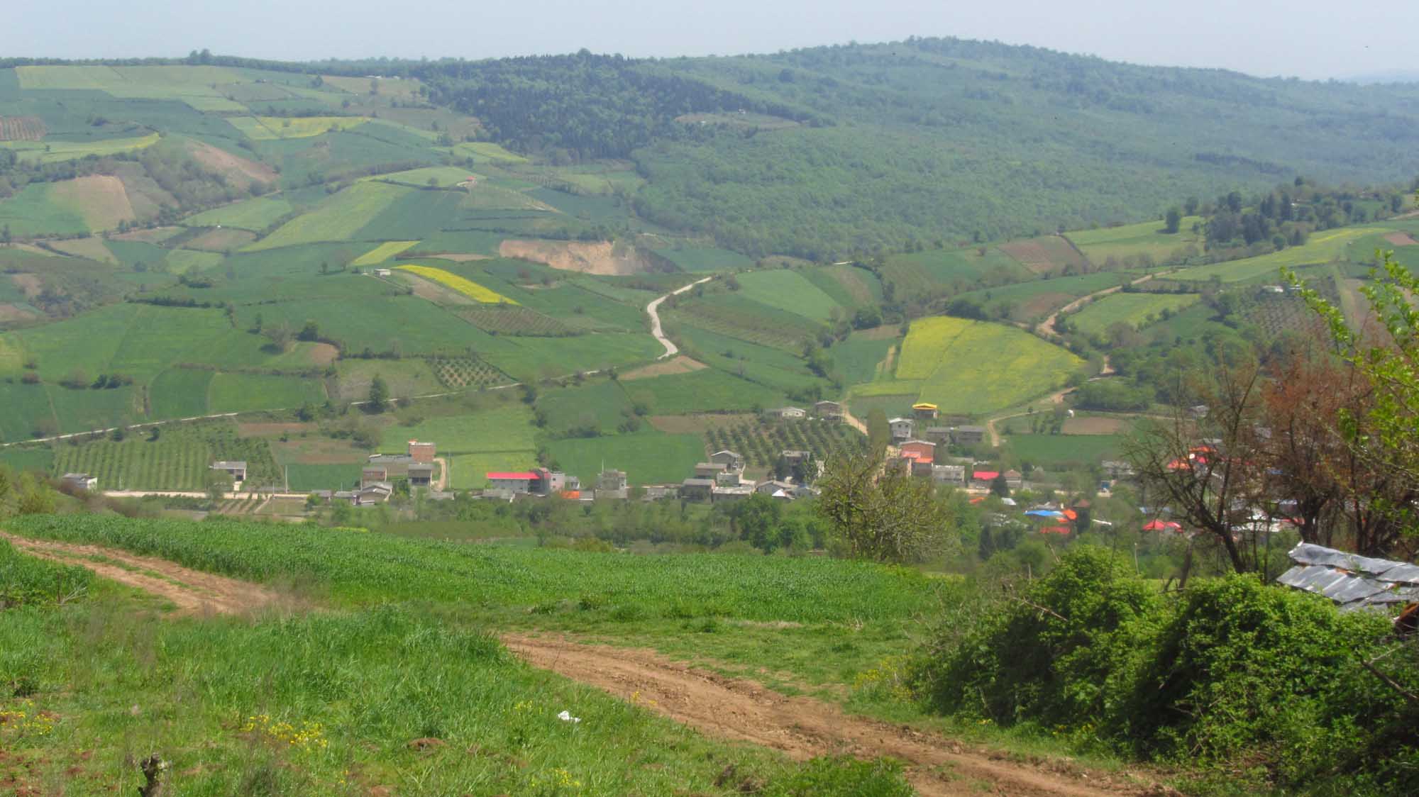 1_33_.jpg (2000×1124)