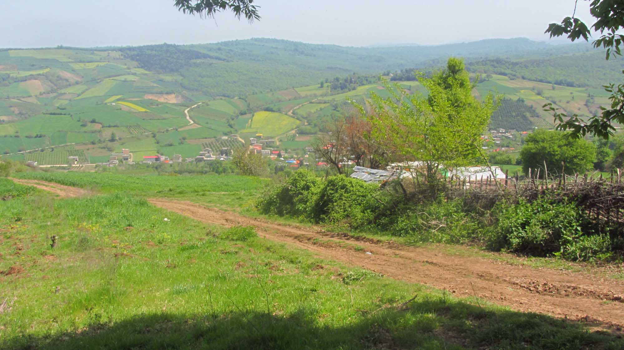 1_34_.jpg (2000×1124)