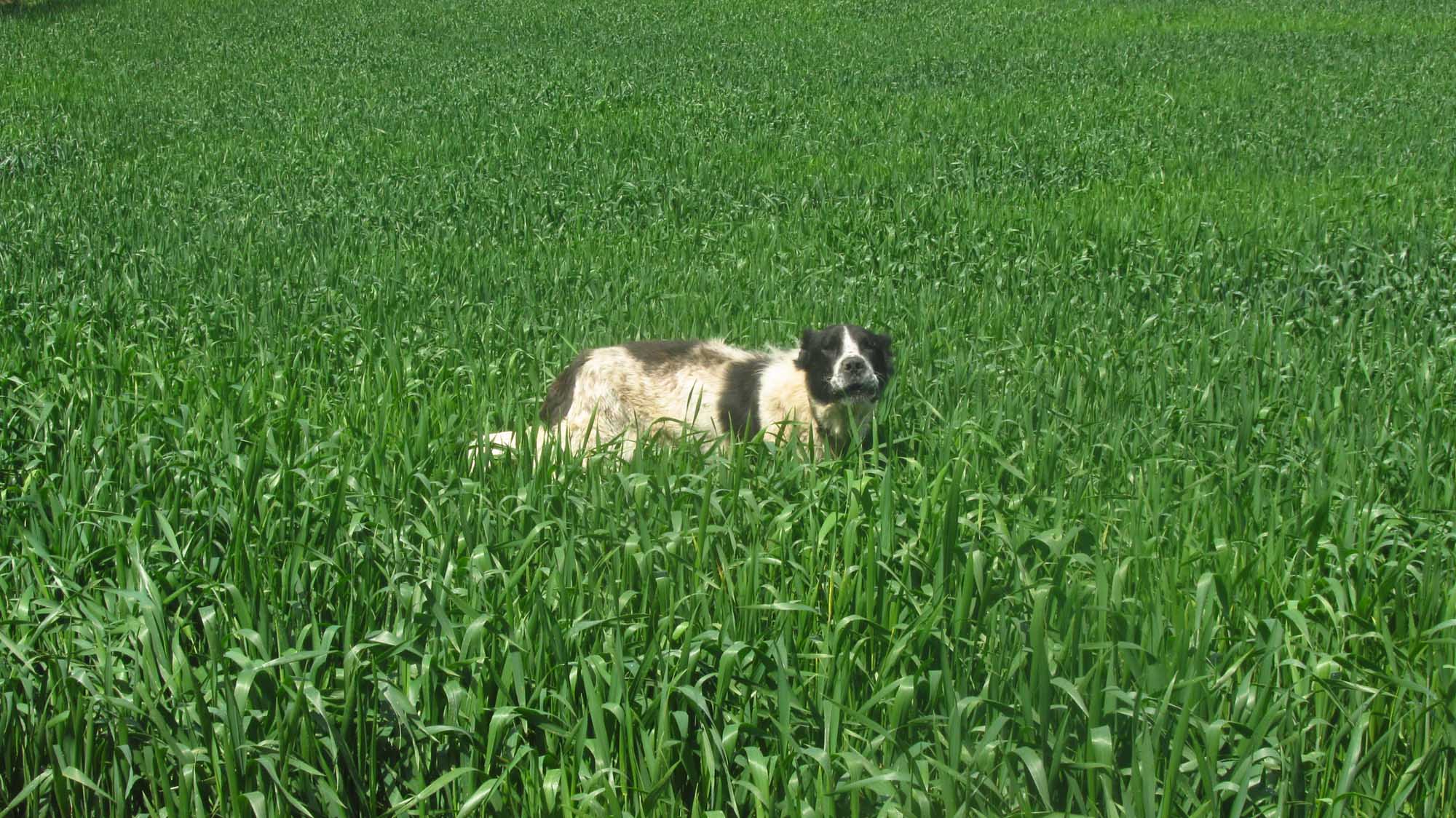 1_42_.jpg (2000×1124)