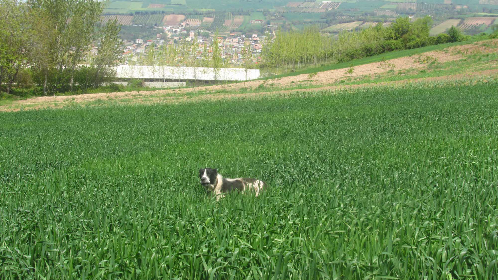 1_43_.jpg (2000×1124)