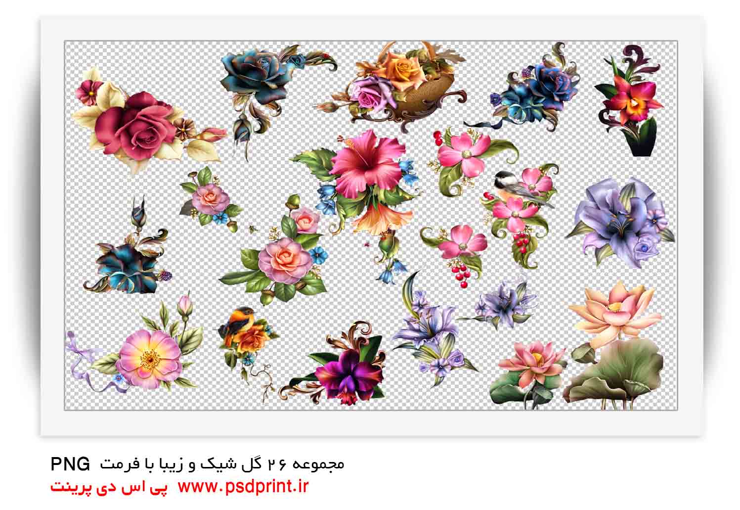 طرح گل png