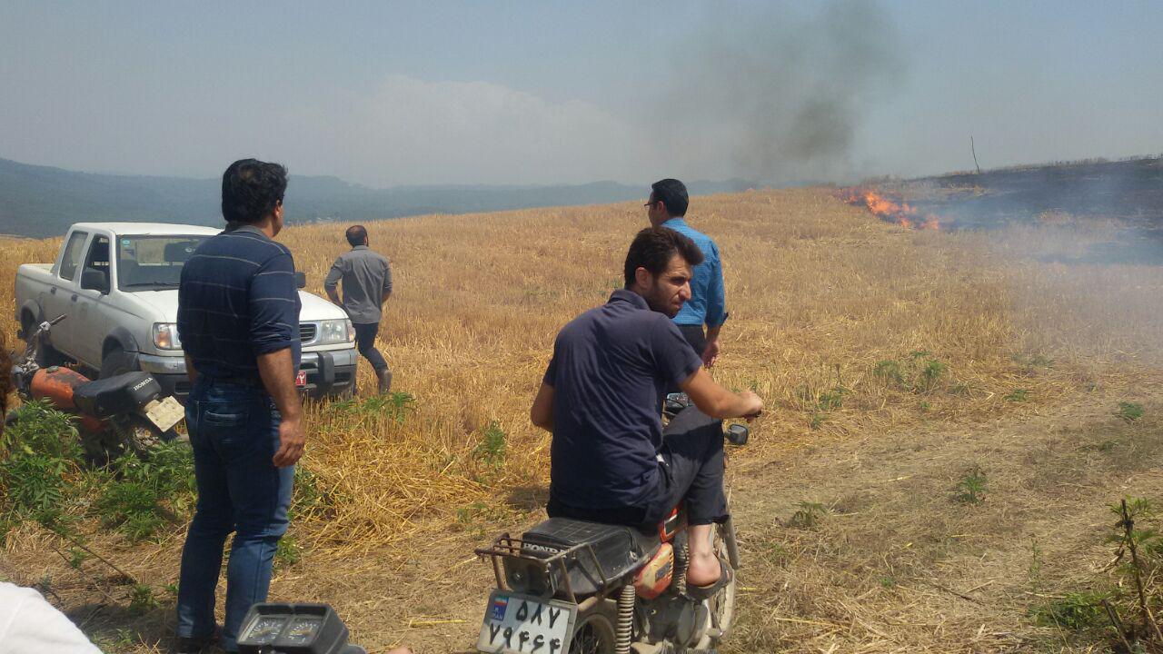 1_1_.jpg (1280×720)