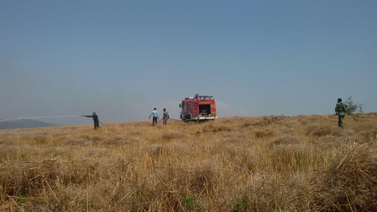 1_3_.jpg (1280×720)