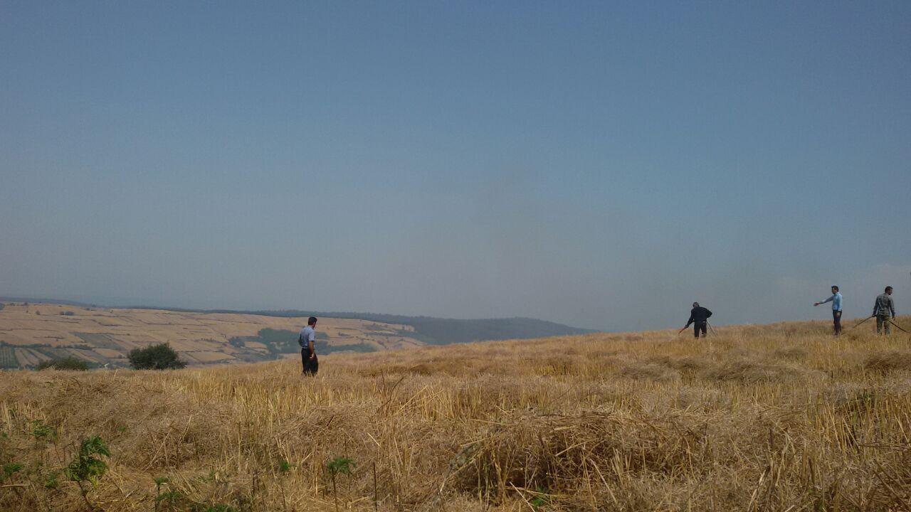 1_4_.jpg (1280×720)