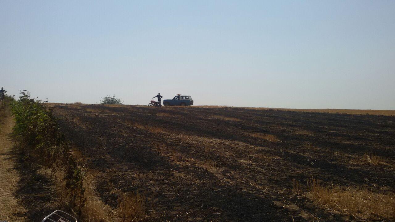 1_5_.jpg (1280×720)