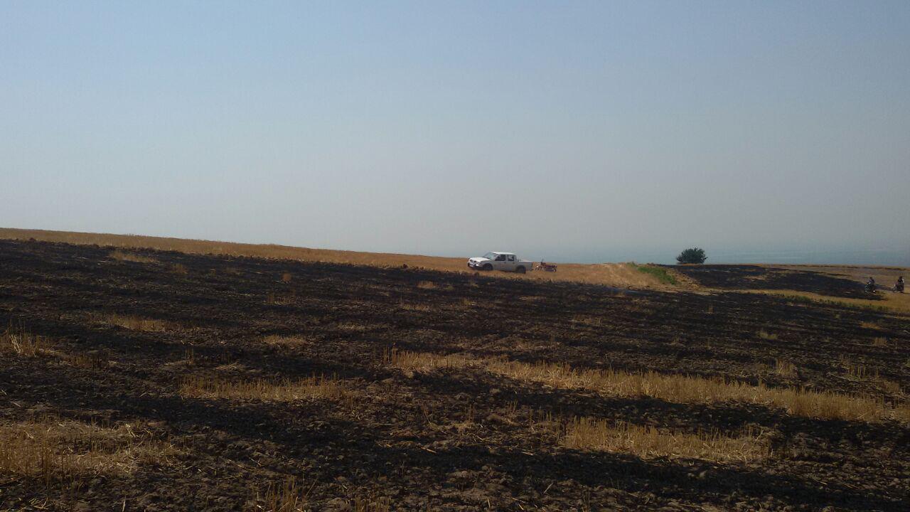 1_6_.jpg (1280×720)