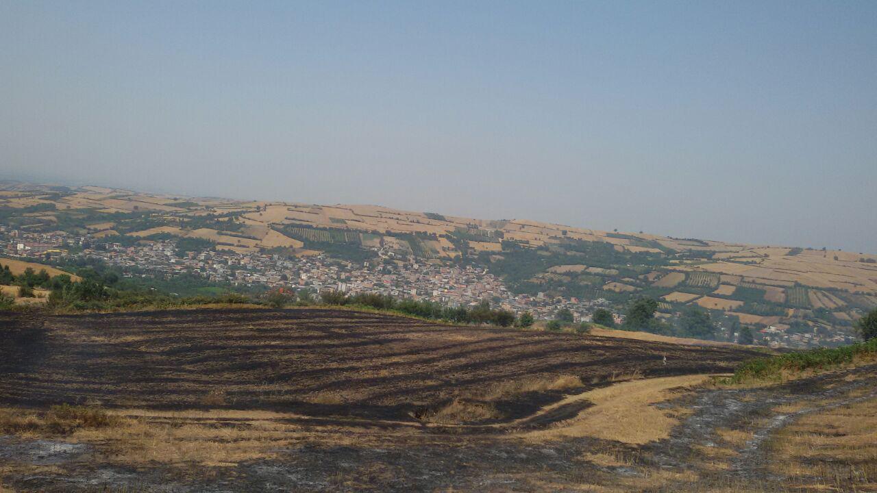 1_11_.jpg (1280×720)