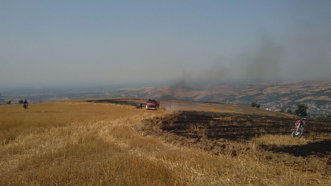 1_14_.jpg (1280×720)