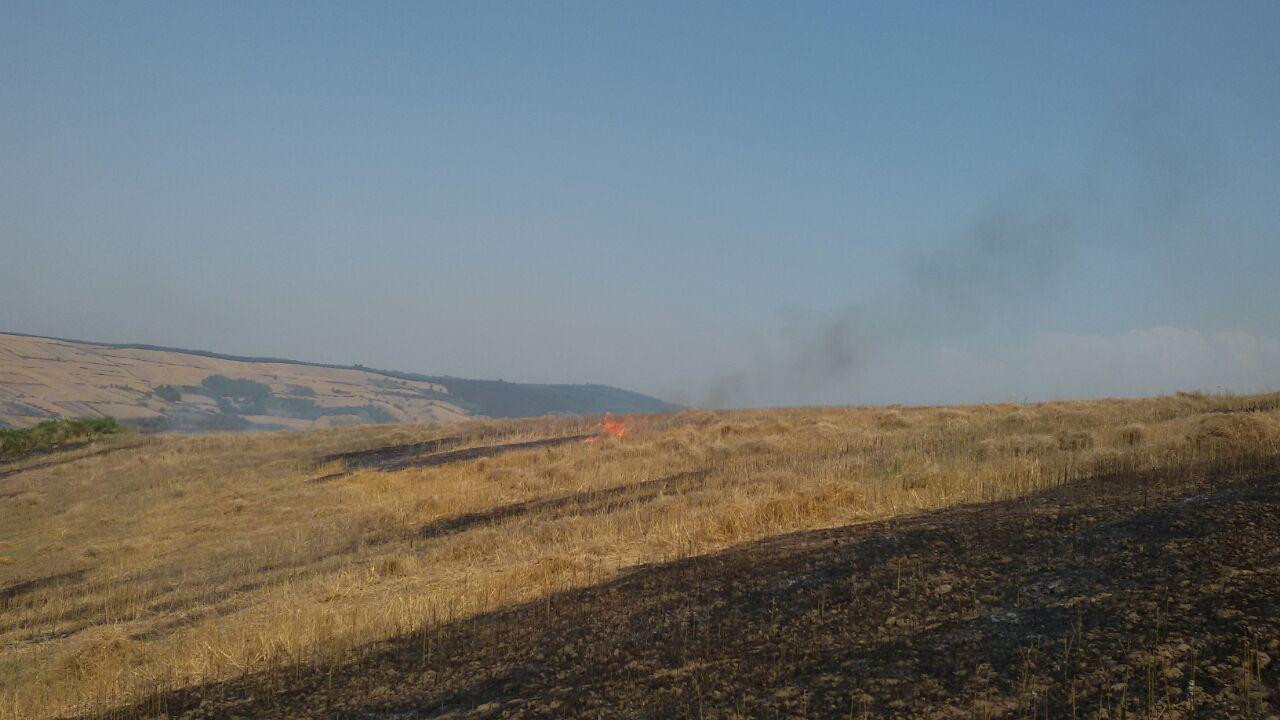 1_15_.jpg (1280×720)