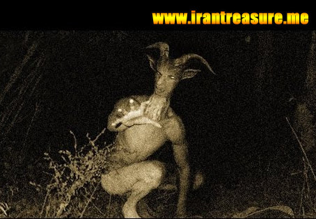 http://s9.picofile.com/file/8300011142/buyu952.jpg