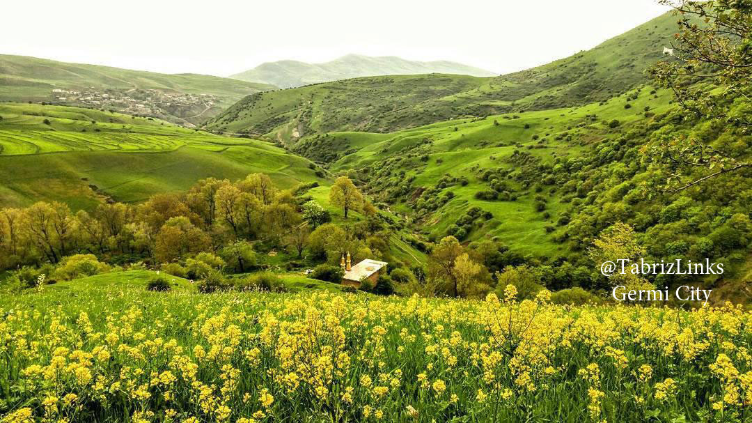 گرمی