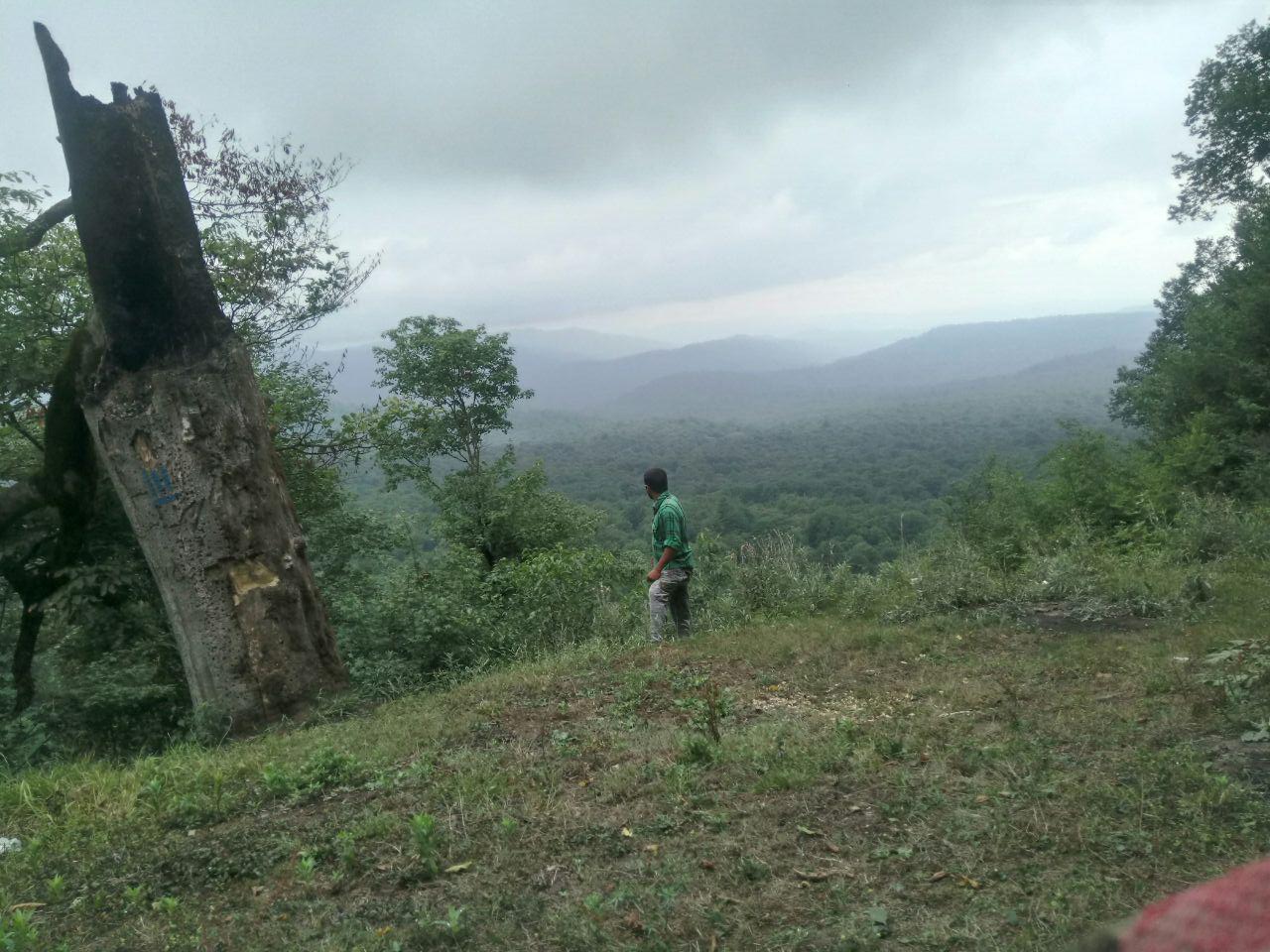 1_2_.jpg (1280×960)