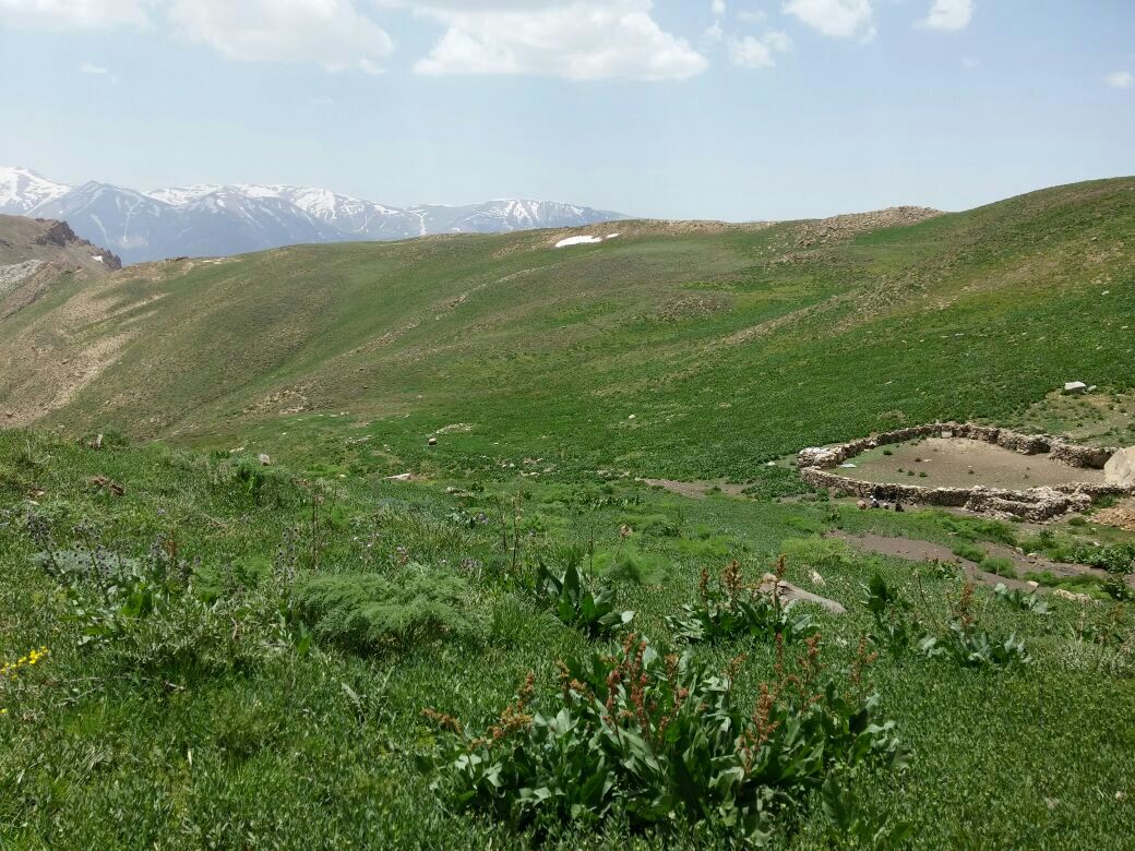 پیست اسکی دربندسر