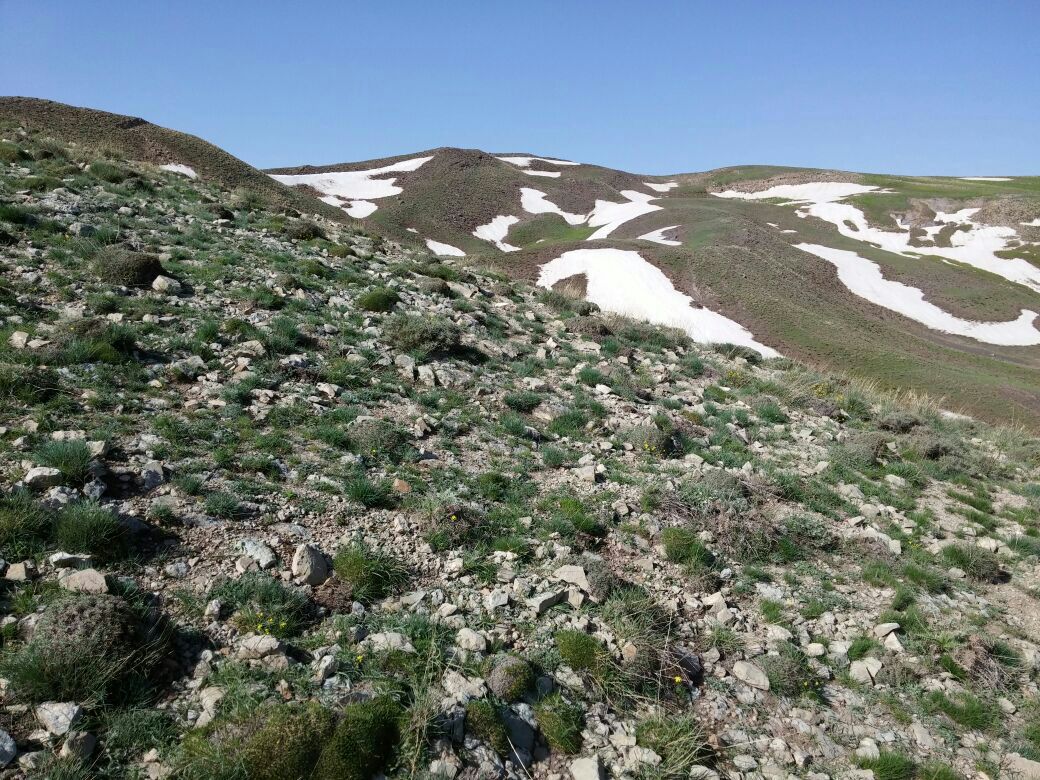 پیست اسکی دربندسر