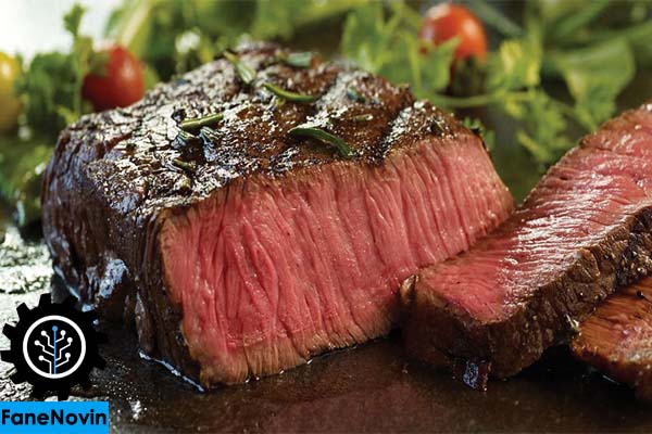 بررسی جامع گوشت مصنوعی کشت دادهشده در آزمایشگاه