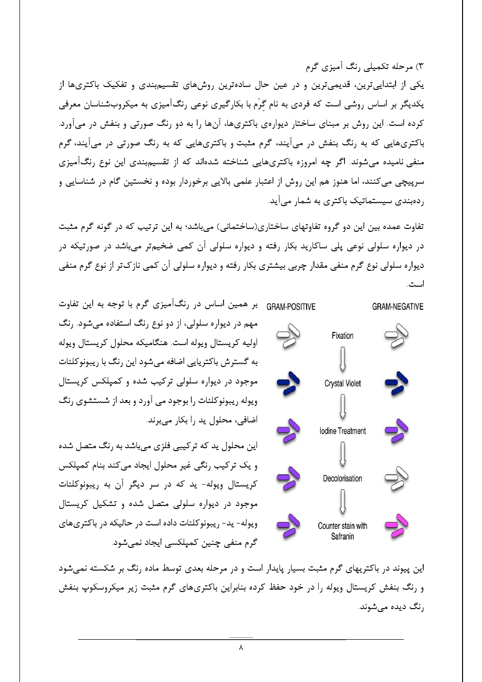 آزمایش باکتریولوژی