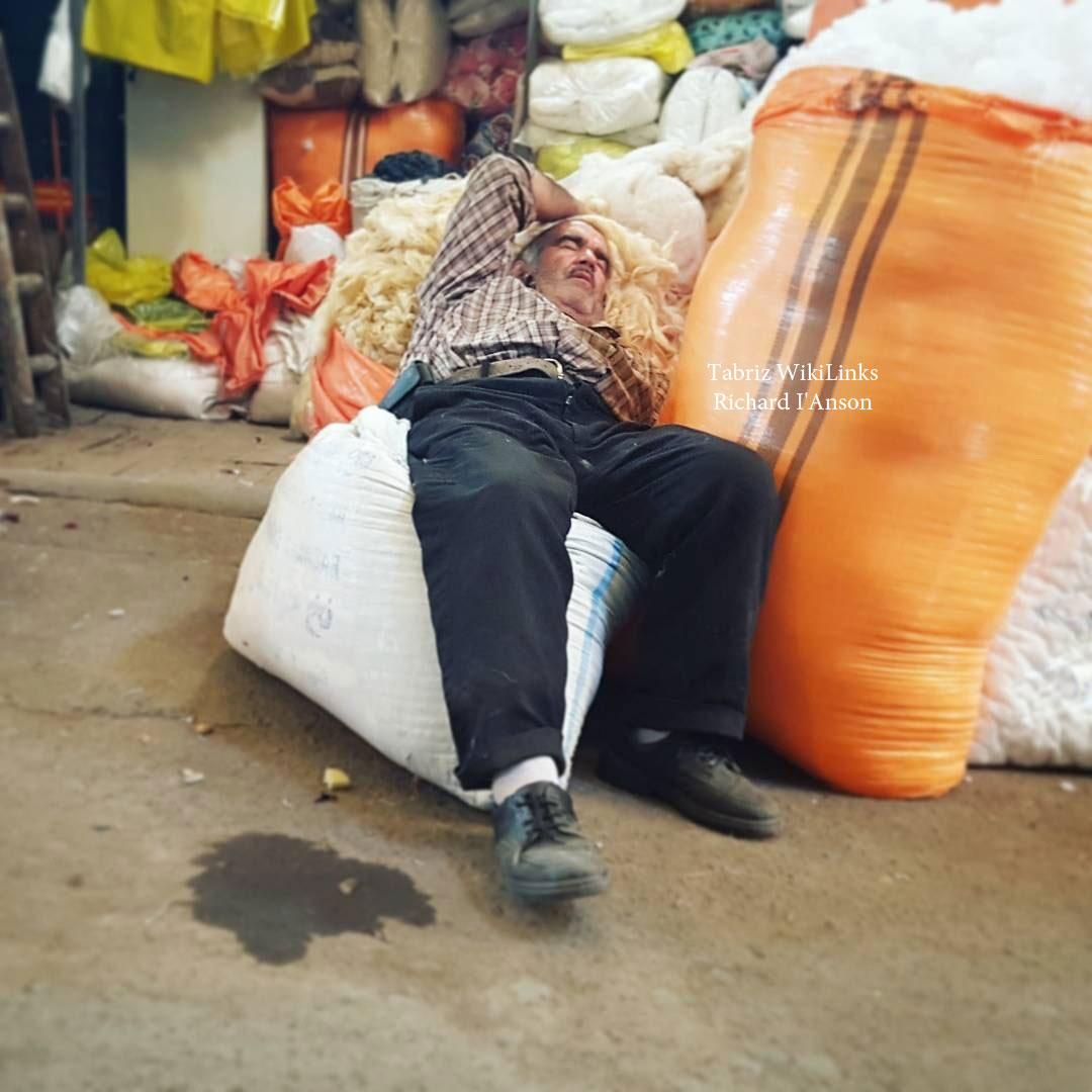 sleep